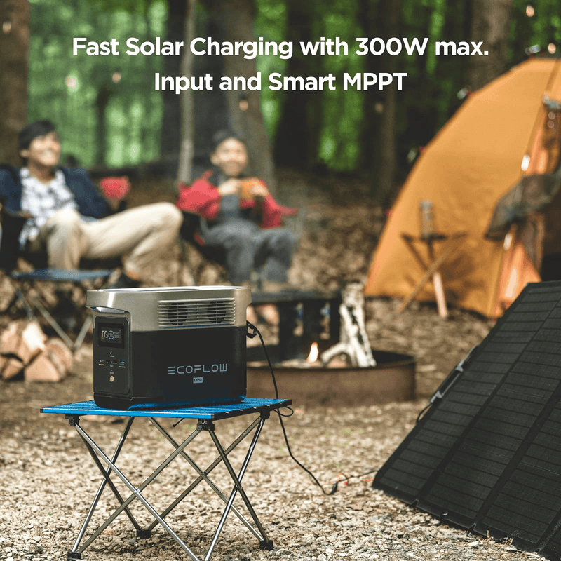 Portable Power Station EcoFlow DELTA MINI
