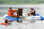 Boat Adventure Arta A-280-330 on Water