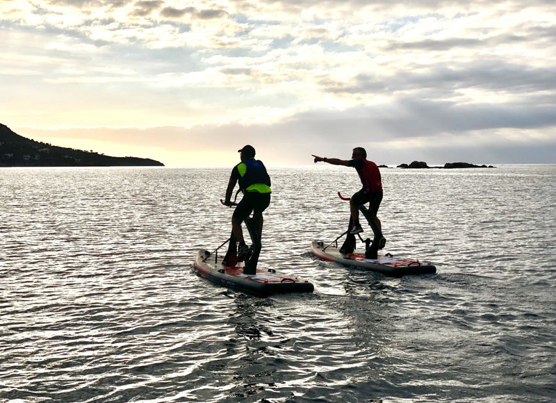 Buy Surf Fitness by Redsharks Bikes and other accessories in Canada and the United States.