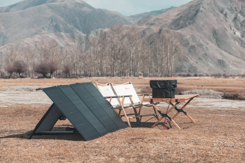 Portable Solar Panel EcoFlow 220W