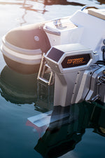 Cruise 10.0 R (with remote throttle)